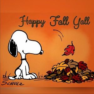 Meet your Posher, Kay